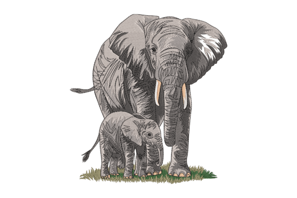 African Bush Elephant: A Designer’s Review for Personalized Gifts