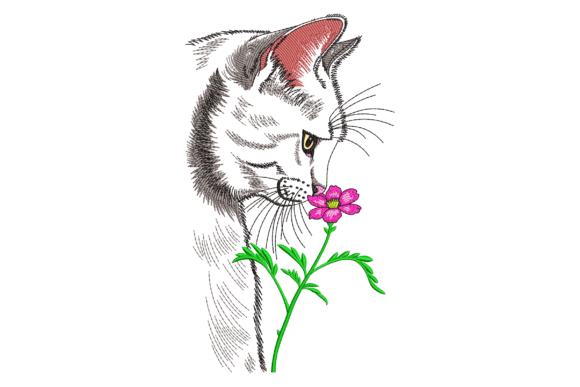 Cat with Flower: A Designer’s Review for Real Projects