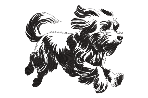 Havanese Dog Embroidery: A Designer’s Review