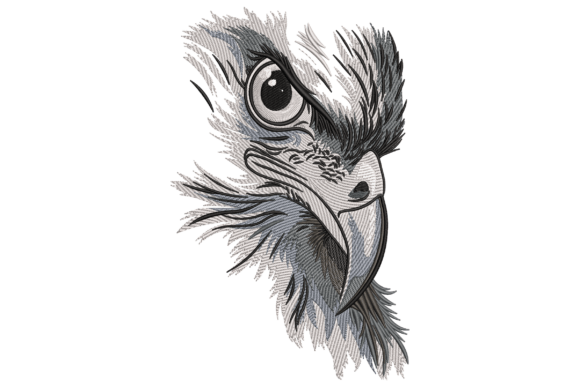 Majestic Eagle Head: A Designer’s Holiday Review