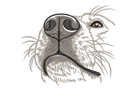 Reviewing Close-Up Dog Nose for Holiday Gifts