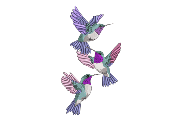 Reviewing Colorful Hummingbirds for Craft Fair Success